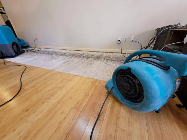 Professional Basement Flood Cleanup technician working in Hawthorne, NJ